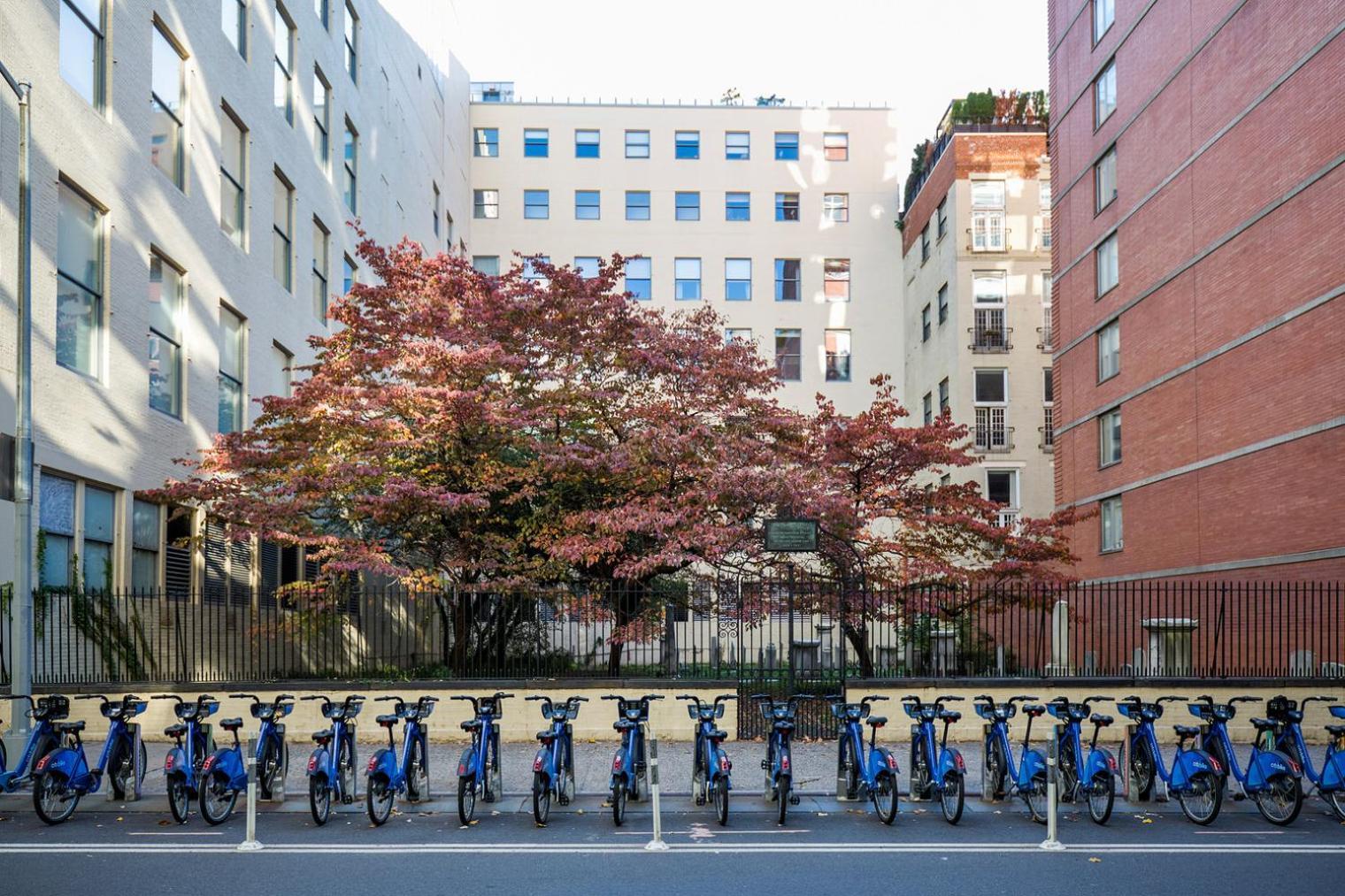 Chelsea 1br W Doorman Gym Nr High Line Nyc-677 Apartment New York