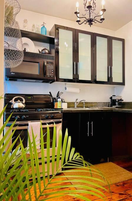 Apartment House On Henry - Private 1 Bedroom *