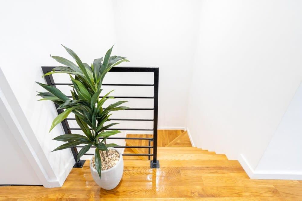 Apartment 13-3 I Brand New 4br 3bth Duplex Private Roof Deck *