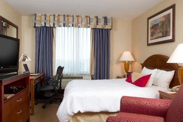 Hilton Garden Queens Jfk - Newly Renovated Hotel New York