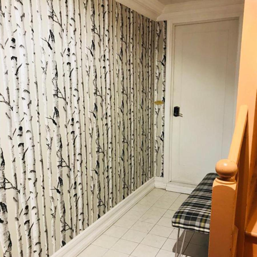 67-26 Austin Cove Near Subway, All Shops, Restaurants! Separate Entrance Apartment *