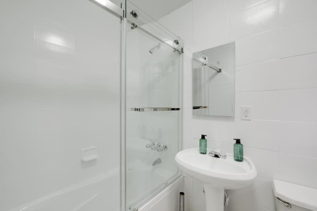 Bay Ridge Delight: Stunning Brooklyn Gem Apartment New York