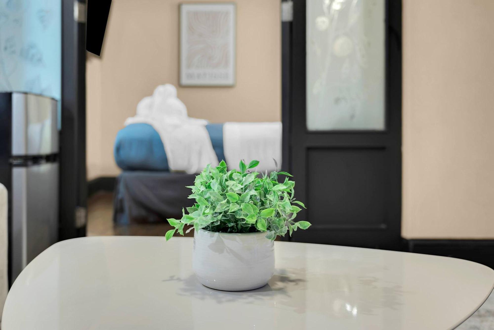 Apartment Stunning In The Heart Of Gym New York