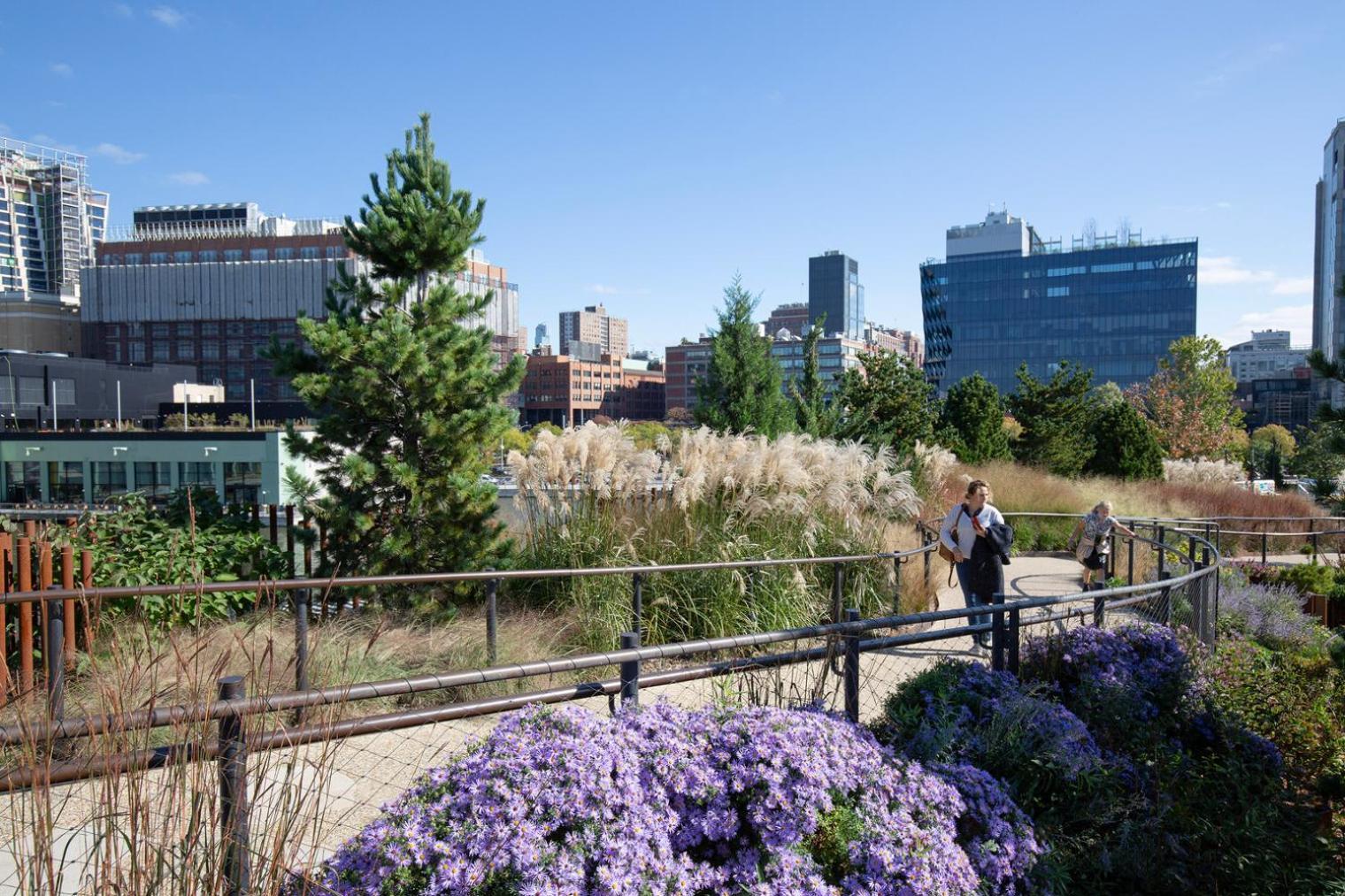 Chelsea 2br W Gym Doorman Nr High Line Nyc-1124