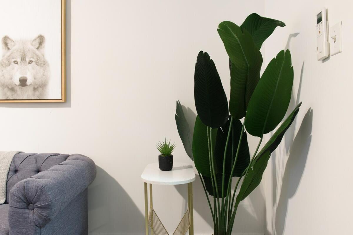 Apartment 39-1 Renovated 3br *