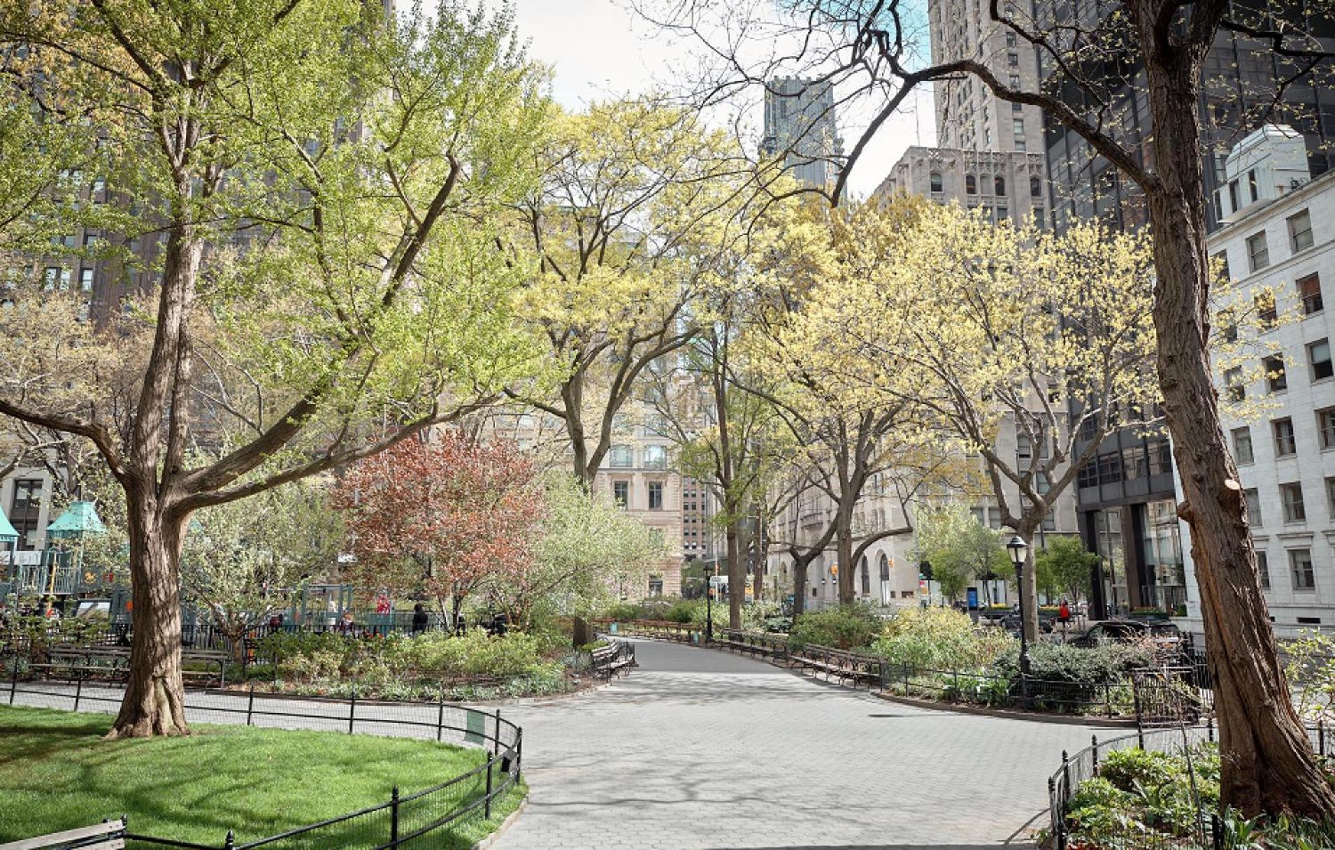 Location! 2bd In Kips Bay, Nyc Neighborhood