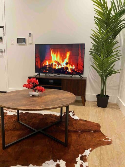 Spacious 2-bedroom With Rooftop Apartment *